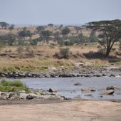  The Serengeti, TZ